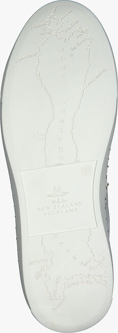 Weiße NZA NEW ZEALAND AUCKLAND Sneaker low TAUPO II - large