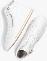 Weiße GABOR Sneaker high 505.1 - medium