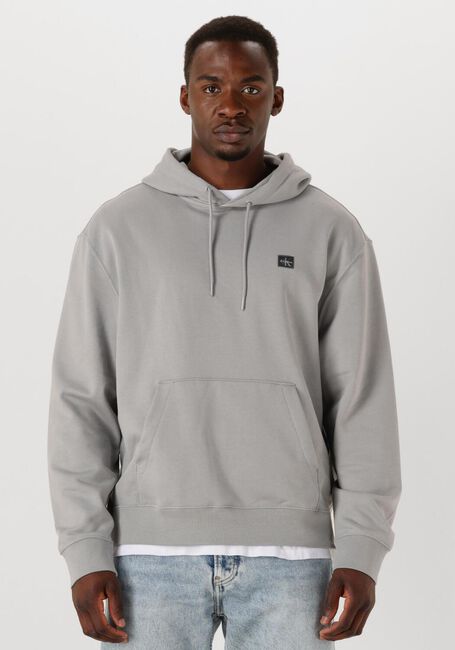 Graue CALVIN KLEIN Sweatshirt LS EU BADGE 350 TERRY HOODIE - large