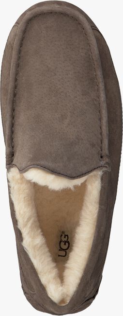 Taupe UGG Hausschuhe ASCOT - large