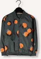 Orangene Z8 Jack RINO Orangene Z8 Jack RINO - medium