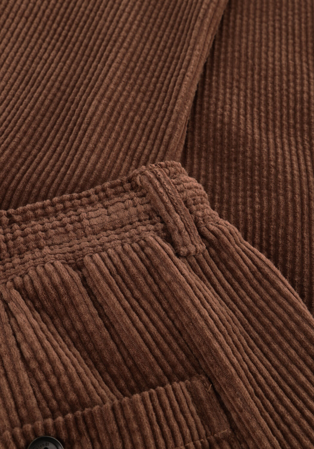 Braune ANERKJENDT Chino AKJAN CORD PLEAT PANTS - large