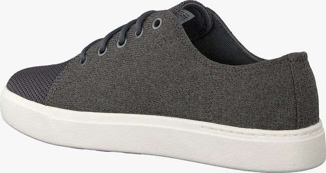 Graue TIMBERLAND Sneaker low AMHERST ALPINE KNIT - large