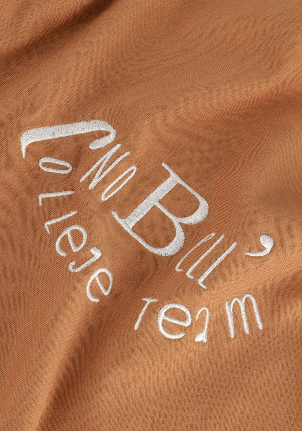 Braune NOBELL  KUMY GIRLS SOFT HOODED SWEATER BROWN - large