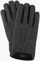 Graue TED BAKER Handschuhe SLICK - medium
