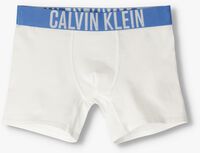 Mehrfarbige/Bunte CALVIN KLEIN UNDERWEAR Boxershort 2PK BOXER BRIEF - medium