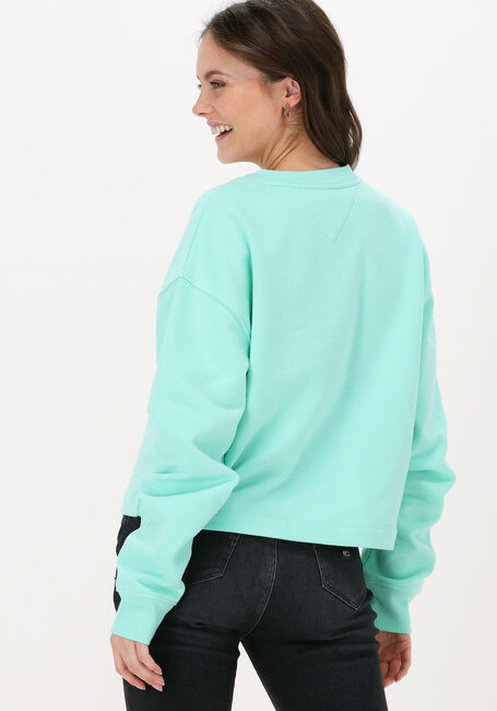 Minze TOMMY JEANS Sweatshirt TJW CROP TOMMY SIGNATURE CREW - large