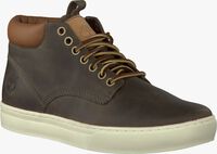 Taupe TIMBERLAND Ankle Boots 5344/5345 - medium