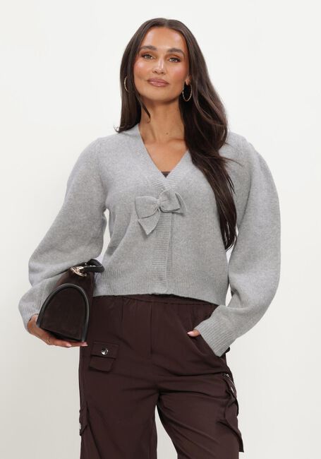 Graue AMAYA AMSTERDAM Pullover & Cardigans SIA KNITWEAR - large