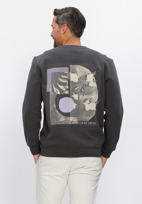 Dunkelgrau CAST IRON Sweatshirt RELAXED FIT GRAPHIC - large