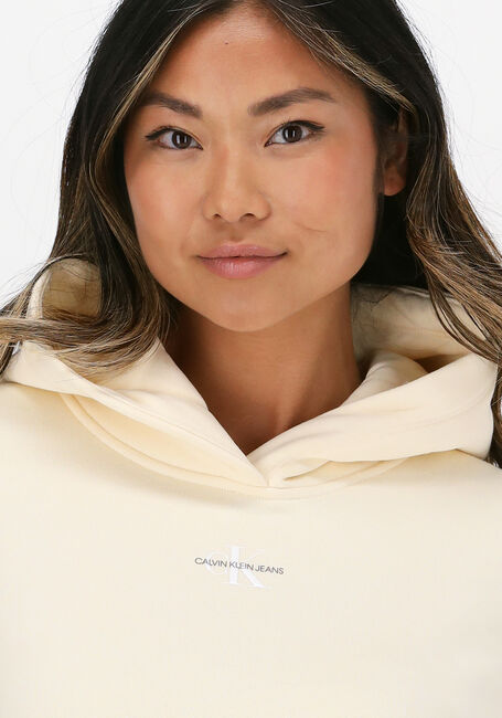 Creme CALVIN KLEIN Sweatshirt MICRO MONOGRAM HOODIE 7 - large