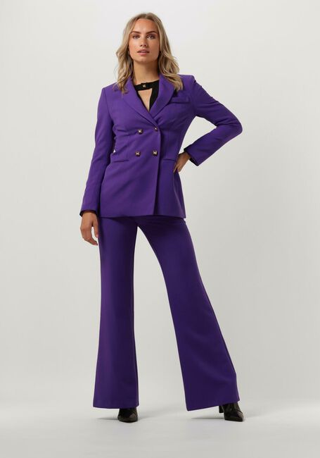 Lilane ACCESS Hose FLARE PANTS WITH METALLIC STUD D - large