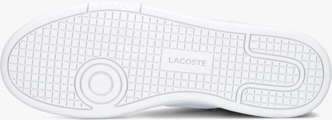Weiße LACOSTE Sneaker low LINESET - large