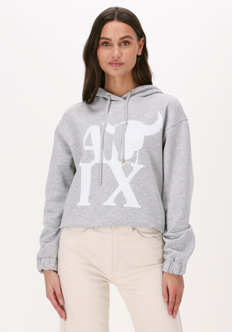 Graue ALIX THE LABEL Pullover ALIX BULL HOODIE - large