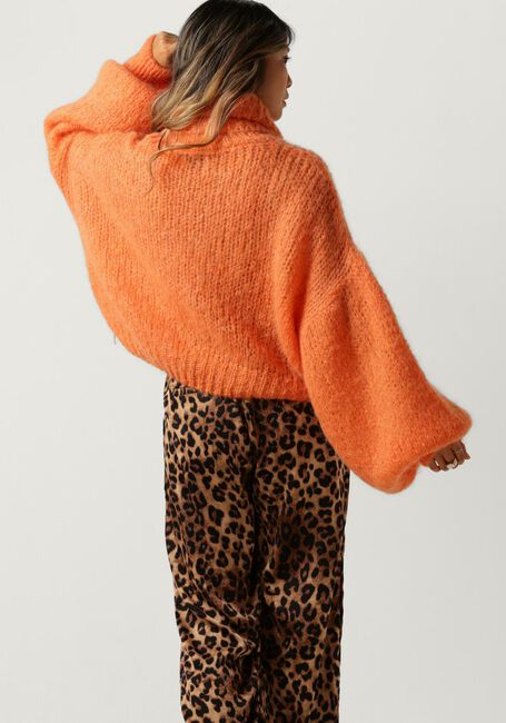 Orangene AMERICAN DREAMS Rollkragenpullover PEPPER ROLL NECK CROPPED - large