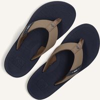 Taupe REEF Zehentrenner SANTA ANA BOYS Taupe REEF Zehentrenner SANTA ANA BOYS - medium