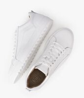 Weiße PS POELMAN Sneaker low NIGEL - medium