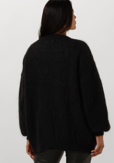 Schwarze DES PETITS HAUTS Strickjacke ALTEA - large