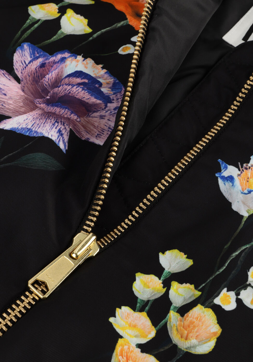 Schwarze MOLO Jack HEDIA - large