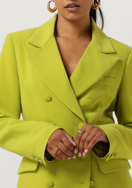 Limette ACCESS Blazer DOUBLE-BREASTED BLAZER WITH TONA - large