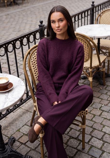 MSCH COPENHAGEN Pullover MSCHFESTINA HOPE PULLOVER - large