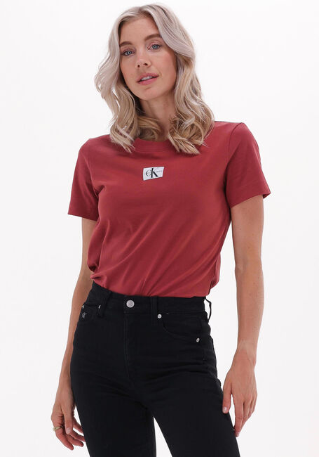 Braune CALVIN KLEIN T-shirt BADGE SEAMING TEE - large