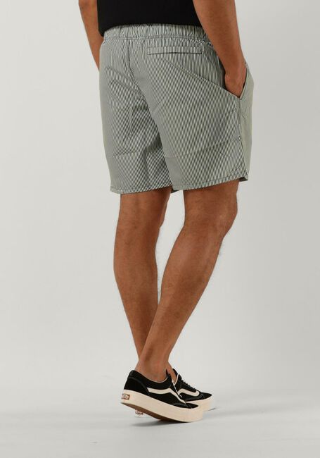 Grüne SHIWI Badehosen MEN SWIMSHORT SKINNY STRIPE - large