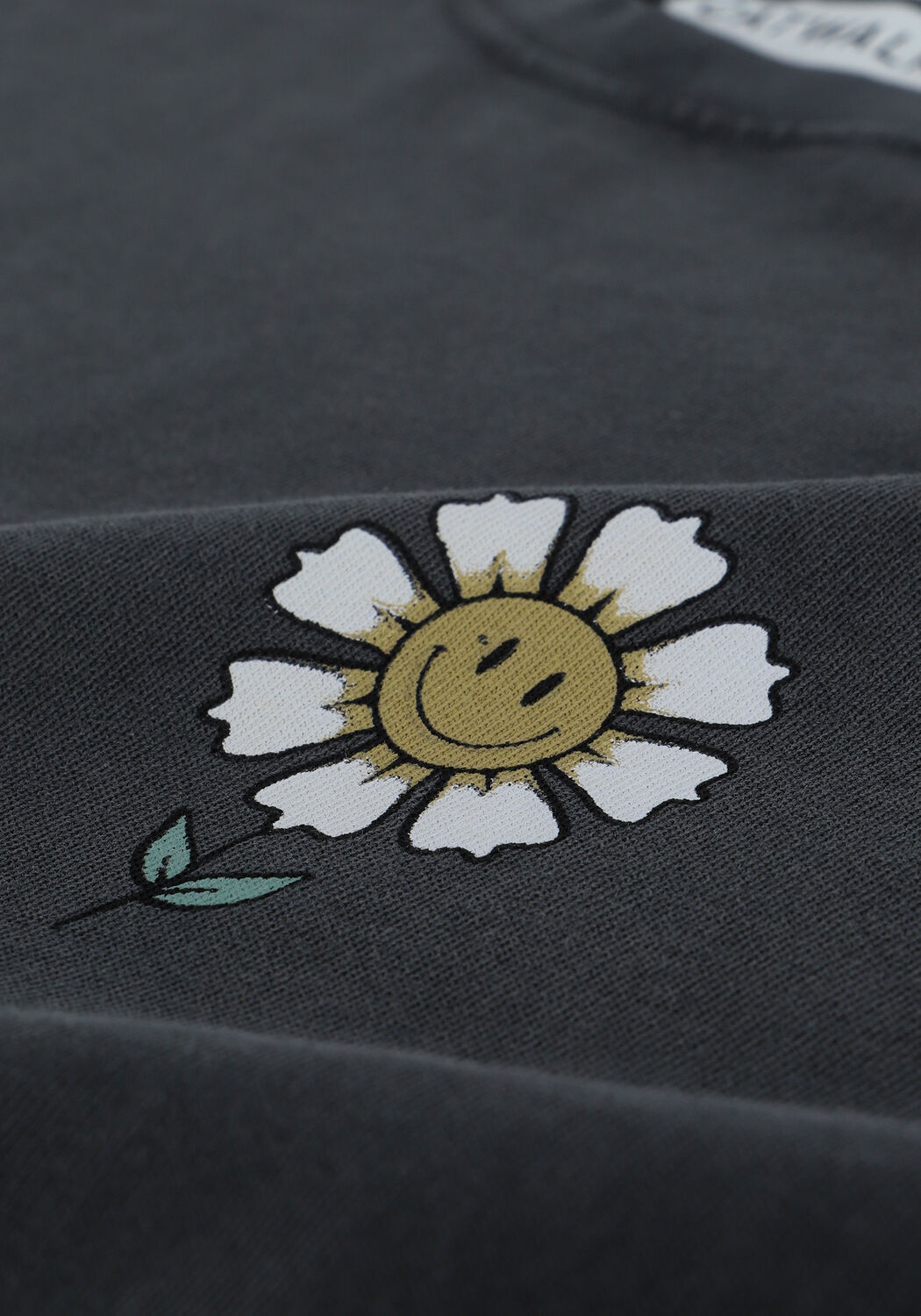 Graue CATWALK JUNKIE T-shirt TS ALL GOOD - large