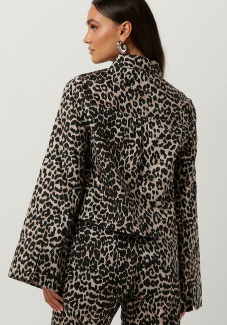 Braune HARPER & YVE Jack LEXIE-JA - large
