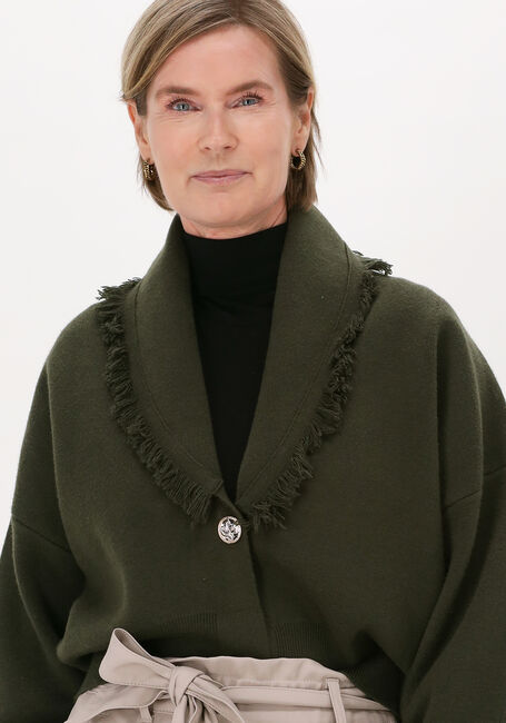 Grüne SILVIAN HEACH Strickjacke JACKET SWEATER PALMDAKE - large