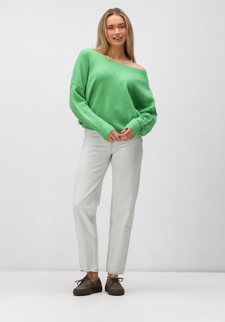 Gr&uuml;ne AMERICAN VINTAGE Strickjacke DAMSVILLE - large