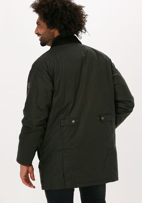 Braune DUBARRY Regenjacke BRUNSWICK - large