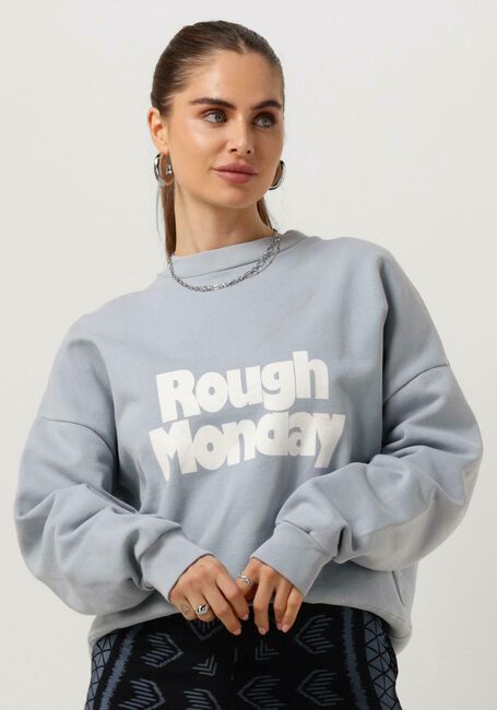 Hellblau ROUGH STUDIOS Sweatshirt ROUGH MONDAY SWEATER - large