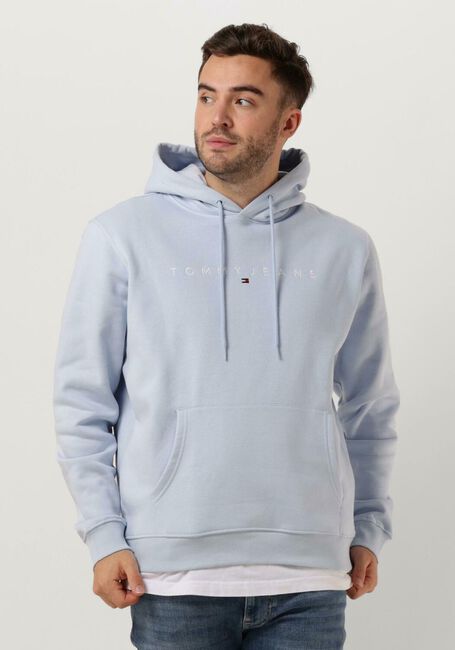 Hellblau TOMMY JEANS Pullover TJM REG LINEAR LOGO HOODIE EXT - large