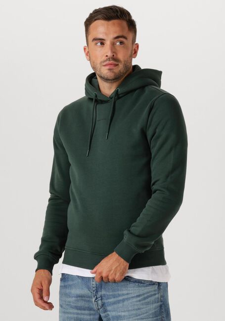Dunkelgrün PURE PATH Sweatshirt REGULAR FIT HOODIE LS SWEATERS - large