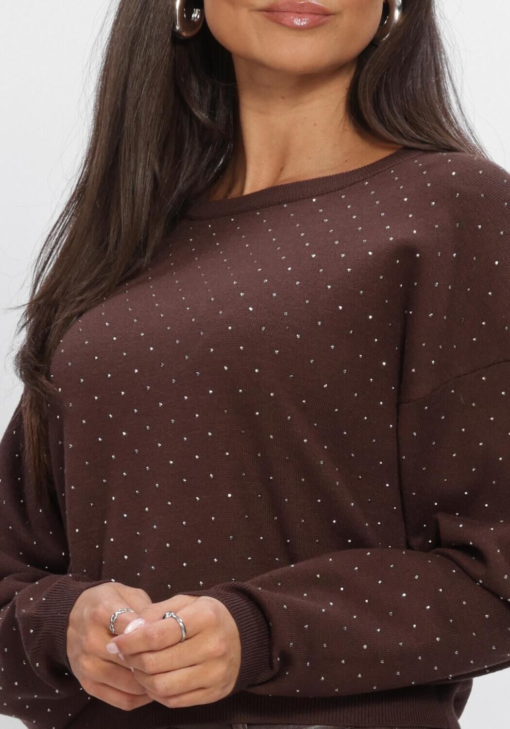 Braune AAIKO Pullover SAREN VIS 323 - large