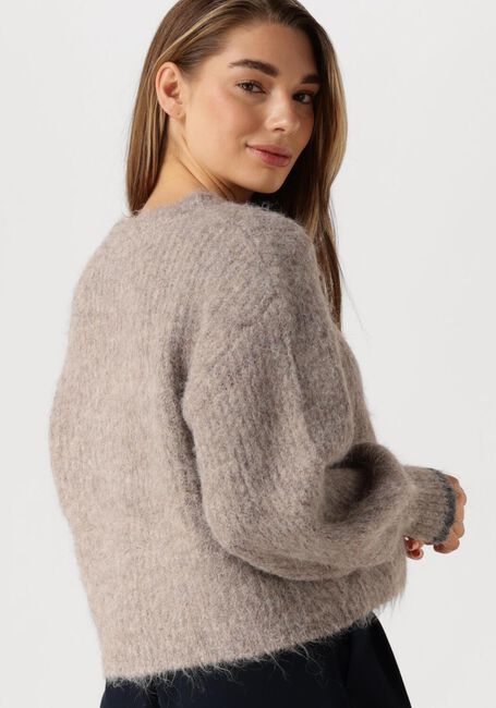 Braune CO'COUTURE Pullover & Cardigans CORALEE CROP KNIT - large
