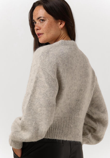 Hellgrau GESTUZ Pullover DIANKAGZ PULLOVER - large