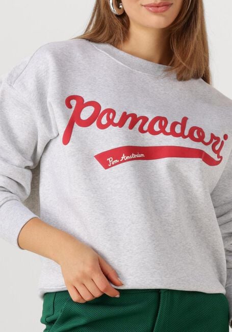 Hellgrau POM AMSTERDAM Sweatshirt SWEATER - POMODORI GREY - large