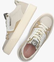 Taupe FLORIS VAN BOMMEL Sneaker low SFW-10105 - medium