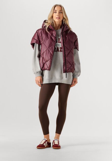 Hellgrau DEBLON SPORTS Sweatshirt MALOU SWEATER - large