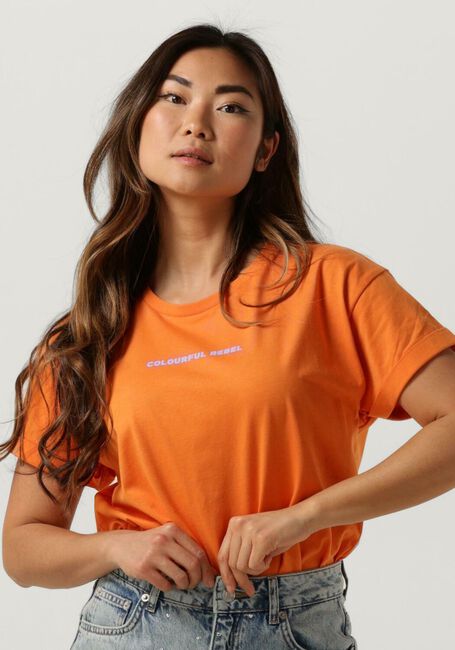 Orangene COLOURFUL REBEL T-shirt UNI LOGO BOXY TEE - large