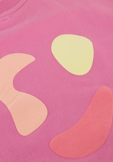 Rosane JENEST Pullover HAPPY BIRD SWEATER - large