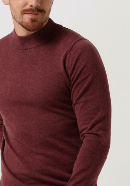 Rosane SAINT STEVE Rollkragenpullover BEN - large