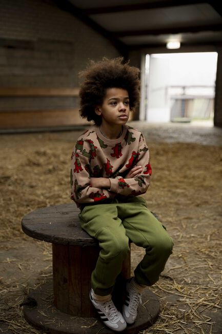 Camelfarbene AMMEHOELA Sweatshirt ROCKY - large