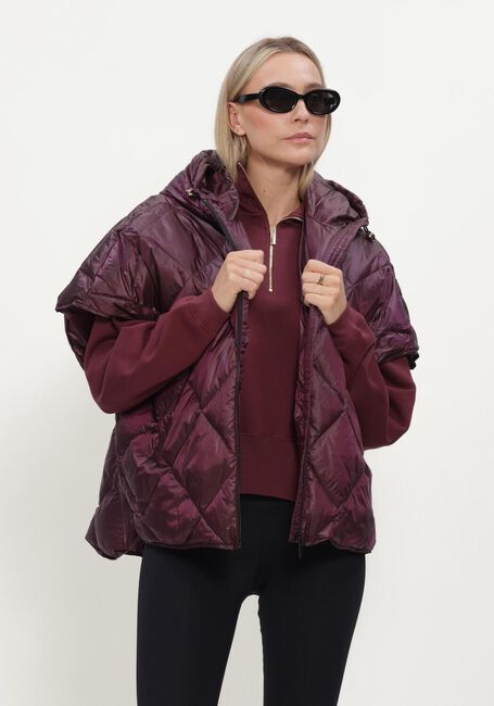 Bordeaux DEBLON SPORTS Bodywarmer BOWIE CAPE - large