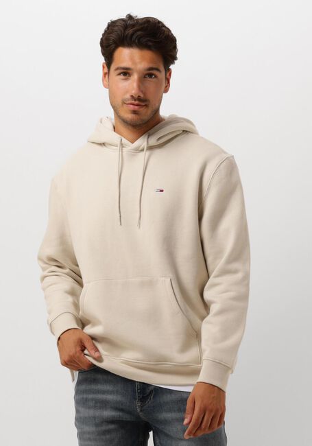 Beige TOMMY JEANS Pullover & Cardigans TJM REG S FLAG HOODIE - large