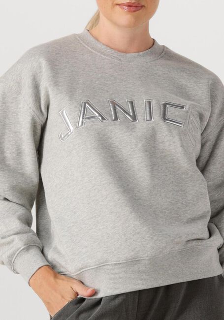 Graue JANICE Sweatshirt ANDY - large