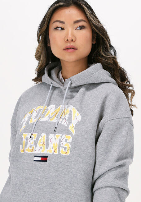 Hellgrau TOMMY JEANS Sweatshirt TJW OVRSZD COLLEGE ARGYLE HOODIE - large