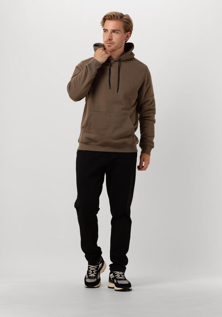 Braune GENTI Pullover & Cardigans J1068-3229 - large